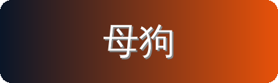 母狗修车改装